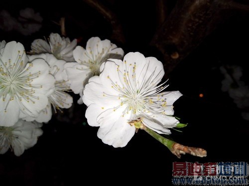 2000元档智能强机 金立S7对比小米Note第22张图