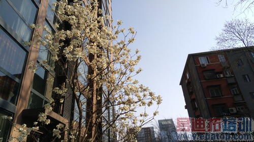 nubia Z9mini����-6