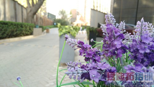 nubia Z9mini����-3