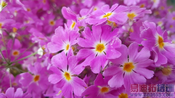 ��Э�г�/ȥ��ͨ�� ����Galaxy S6�����39��ͼ