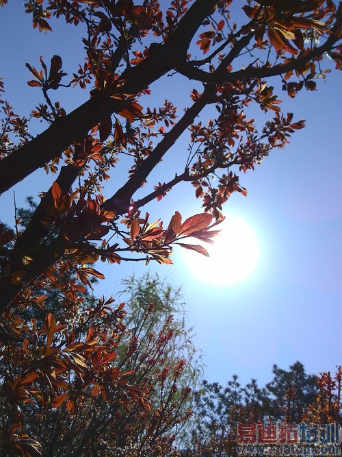 ����2A����-4