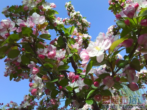 ����2A����-5