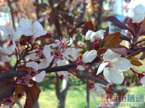 ����2A����-2