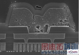 ȡ������810������Exynos7420��ʲô������΢��������