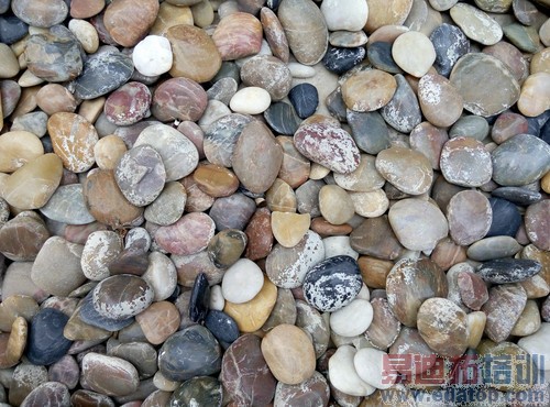 ��������-1