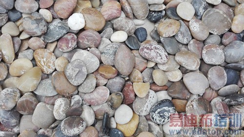 ��Ϊ����-1