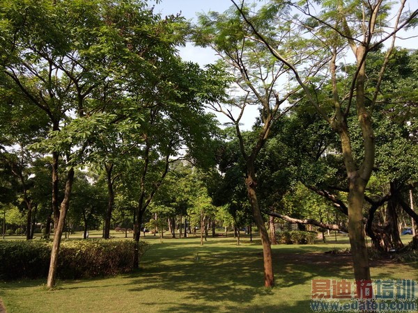 С��Note�����̫�����ѡ��Ŭ����Z9 mini�Ա������ֻ�1��ϸ����