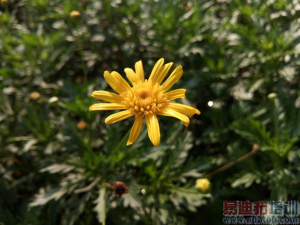 С��Note�����̫�����ѡ��Ŭ����Z9 mini�Ա������ֻ�1��ϸ����