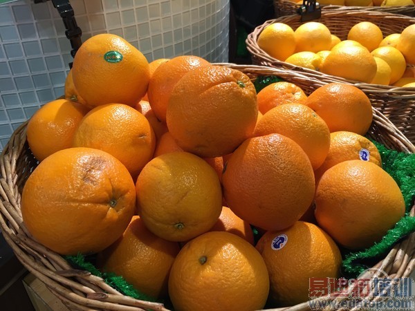 ƻ��iPhone 6 Plus������⣺��˼��Ϊ������ ����MX4����Ϸ��