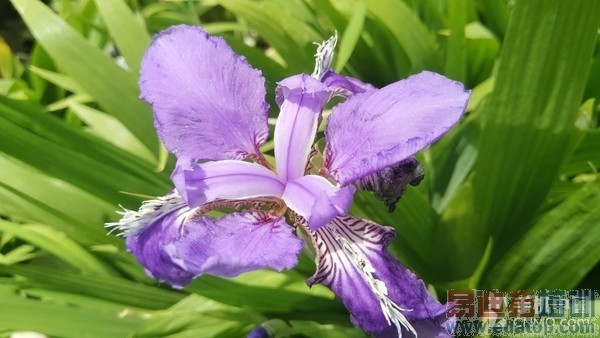 ����810�˺�ǿ�� С��Note����������14��ͼ