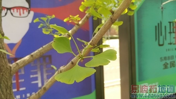 ����810�˺�ǿ�� С��Note����������13��ͼ