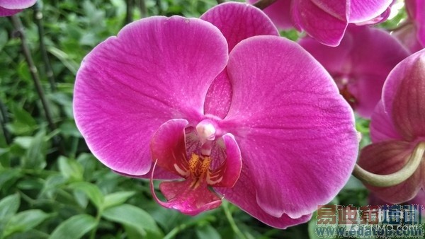 ����810�˺�ǿ�� С��Note����������18��ͼ