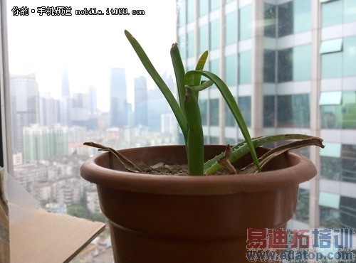 ������ҫ����4C���նԱ�