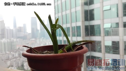 ������ҫ����4C���նԱ�