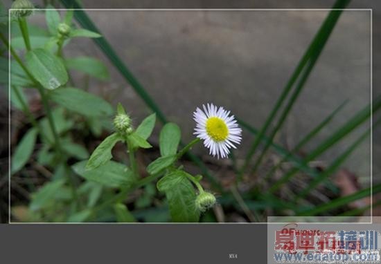 ����MX4������鱨�棺������ɱ� ��ԽС��4�Ĺյ�