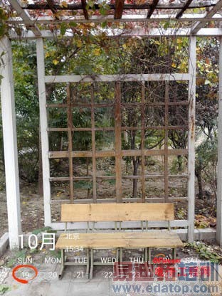 ��ΪMate7/��ҫ6�����Ա����⣺��˼����