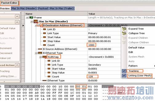 IxNetwork附加段跟踪特性的应用