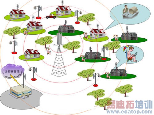 ���߽������