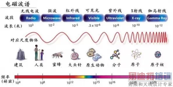 ��Ų������ߵ粨�λ���