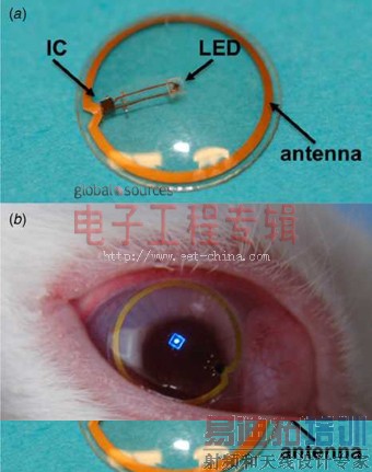 ŷ���о�Ա����������ʾ������Ϣ�������۾�ԭ��