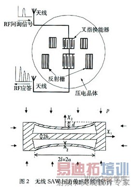 ����SAWѹ����������FADS�о�