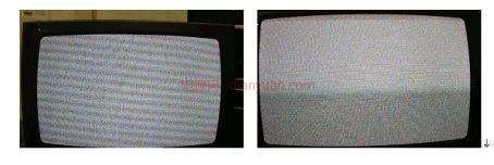 ��ż��ݽ������6