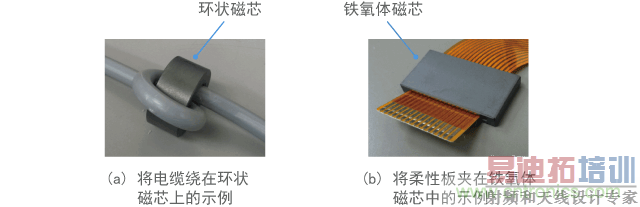 ʹ���������о�Ĺ�ģ������Ȧ