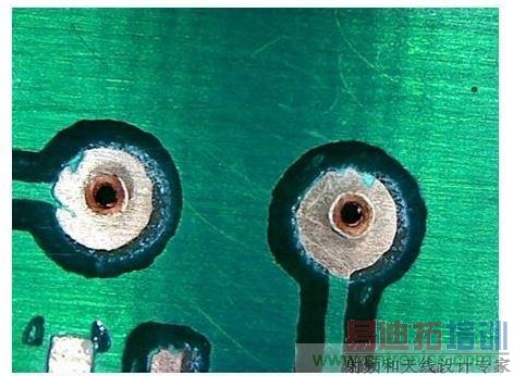 撑开的尾部(显微镜图像)