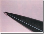 ���õ��躸������