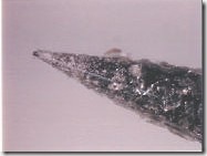 �麸�Ӳ���̫��