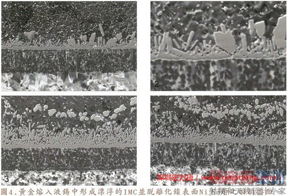 ��������ͼƬΪ�Ŵ�4500����SEMͼ��˵���ڻ�����¯�������������£��ƽ�ɷ���Ҫ������������뺸��֮�е�˲�䣬������������������ʱ��ͼ��п��ܴ���һ����AuSn����AuSn2��AuSn4��IMC���ѿ���