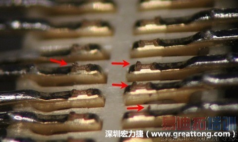 ��԰�������Terminal�ж�����ë��