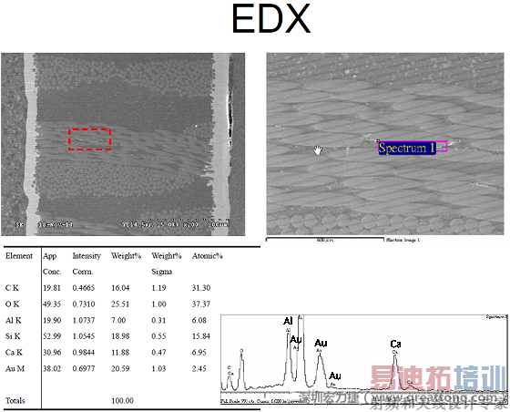 ACF(Conductive Anodic Filament��������ϸ˿������Բ�����ά˿©������)����EDX�����Au(��)��Ԫ�ؽ���ͨ����ä��֮���һ��λ�á�