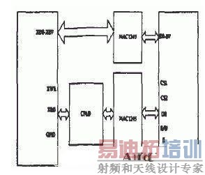 OLED��DSP�����ӵ�·