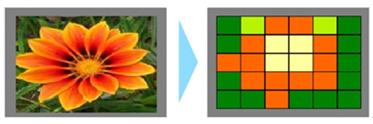 ͼ1��2ά��ɫ������ơ�