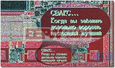 ͼ2��Σ�շ��ӻ�Ŭ���ƻ���ȫͼ��