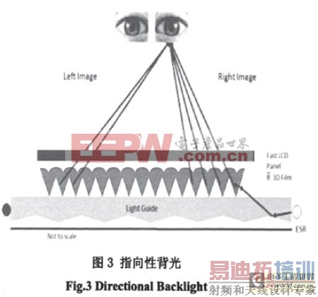 �����Ա���