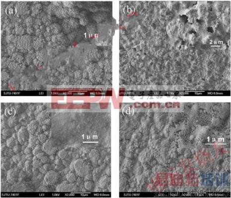 ����ͬ���Ӽ������20��ѭ����象Ĥ�ı�����ò 