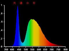 �׹�LED���׹��ʷֲ�